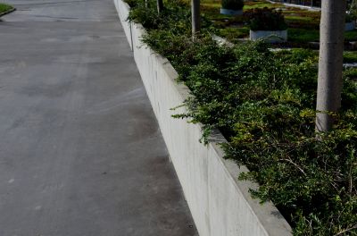 Understanding Concrete Curbing Costs — Cost of Concrete Curbing