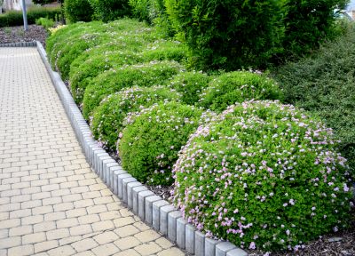 Decorative Concrete Edging!